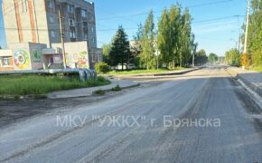 На дороге к пляжу в Брянске убрали асфальт