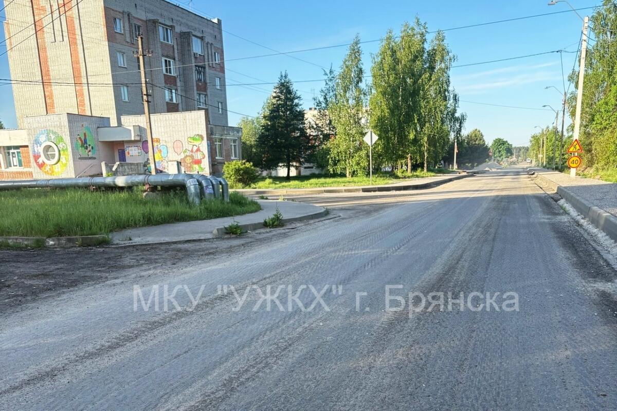 На дороге к пляжу в Брянске убрали асфальт