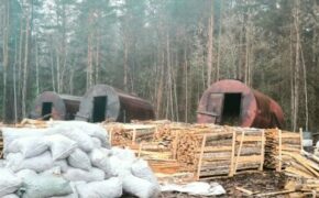 Брянский суд закрыл незаконное производство древесного угля