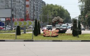 3000 цветов высадили на разворотном кольце у самолёта в Брянске