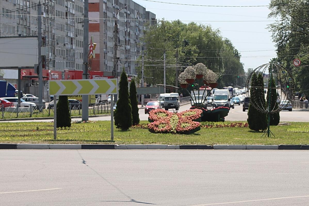 3000 цветов высадили на разворотном кольце у самолёта в Брянске