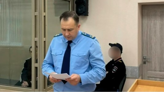 Брянец проведёт в колонии 10 лет за жестокое убийство женщины