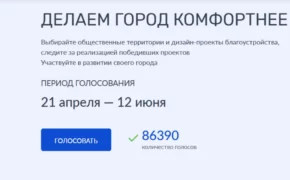 Больше 86 тысяч брянцев отдали свои голоса за объекты благоустройства
