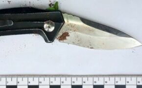 Жителя Подмосковья брянский суд отправил в колонию за покушение на убийство