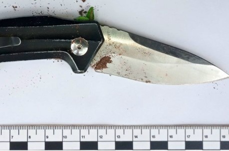Жителя Подмосковья брянский суд отправил в колонию за покушение на убийство