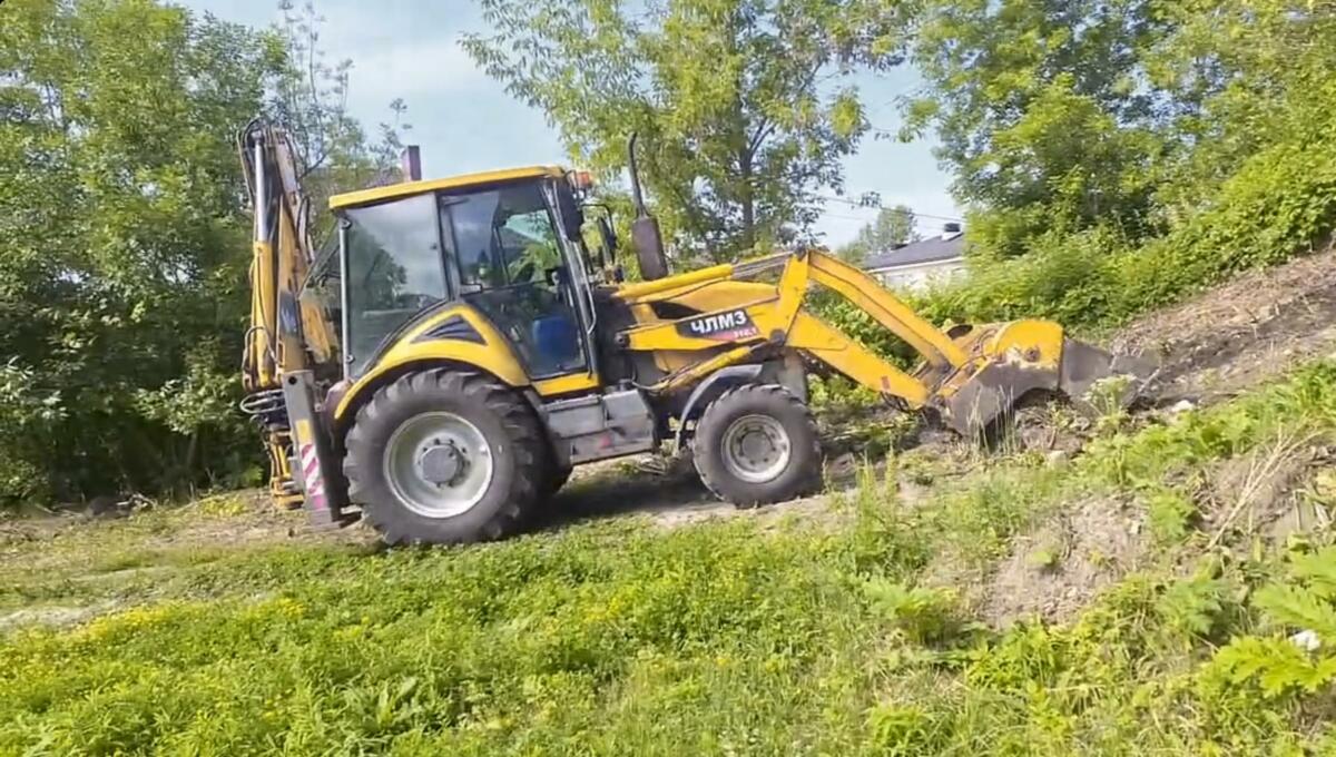 Борщевик уничтожили в Советском районе Брянска накануне