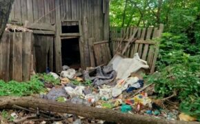 Прокуратура требует убрать свалку на улице Димитрова в Брянске