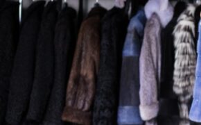 Брянские полицейские раскрыли кражу 345 тысяч рублей из шубы