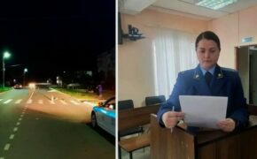 Виновного в гибели пенсионерки жителя Сельцо суд отправил в колонию на пять лет