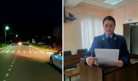 Виновного в гибели пенсионерки жителя Сельцо суд отправил в колонию на пять лет