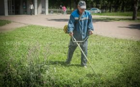 Свыше 60 000 квадратных метров травы за выходные скосили в Брянске