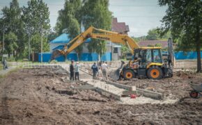 Более полутысячи растений высадят в парке «Олимпийский» в Брянске