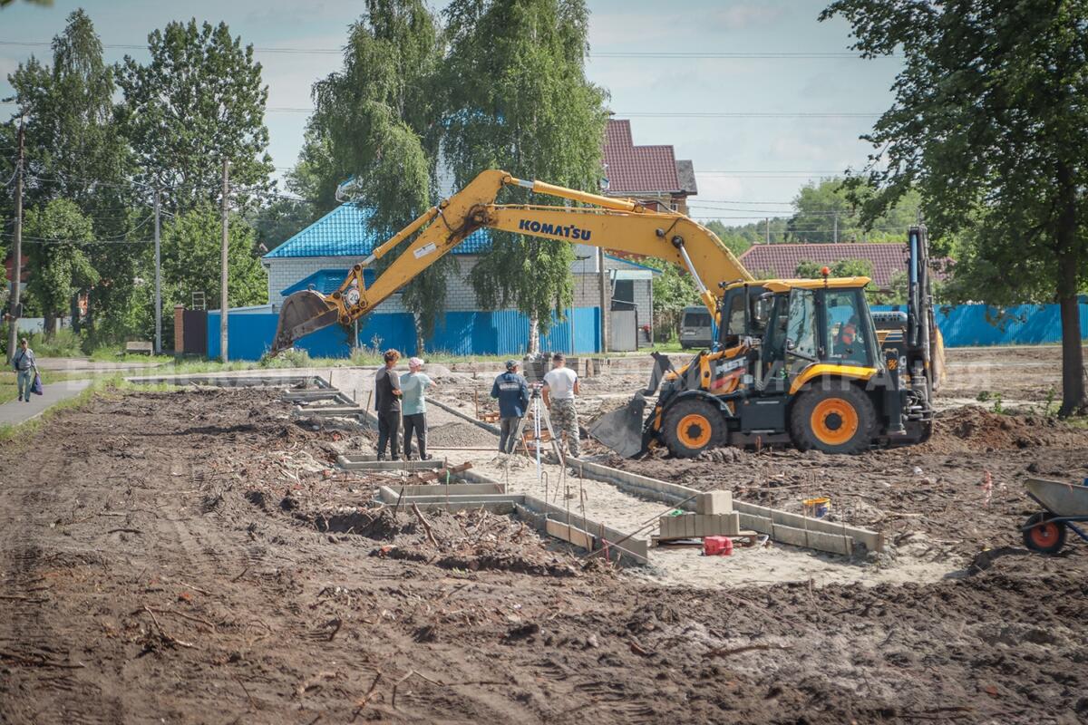 Более полутысячи растений высадят в парке «Олимпийский» в Брянске