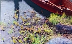 Полицейские задержали двоих браконьеров в Трубчевском и Комаричском районах