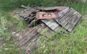 В Брянске следователи раскрыли убийство пенсионерки на даче