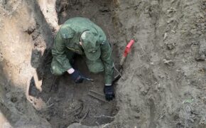 Останки троих бойцов Красной армии разыскали поисковики в Карачевском районе
