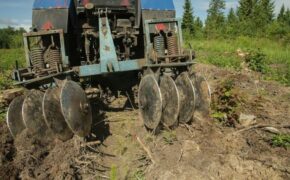 Брянские лесоводы проводят агротехнический уход за молодыми лесами