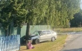 Легковушка врезалась в дерево в Новозыбковском районе