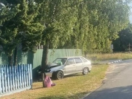 Легковушка врезалась в дерево в Новозыбковском районе