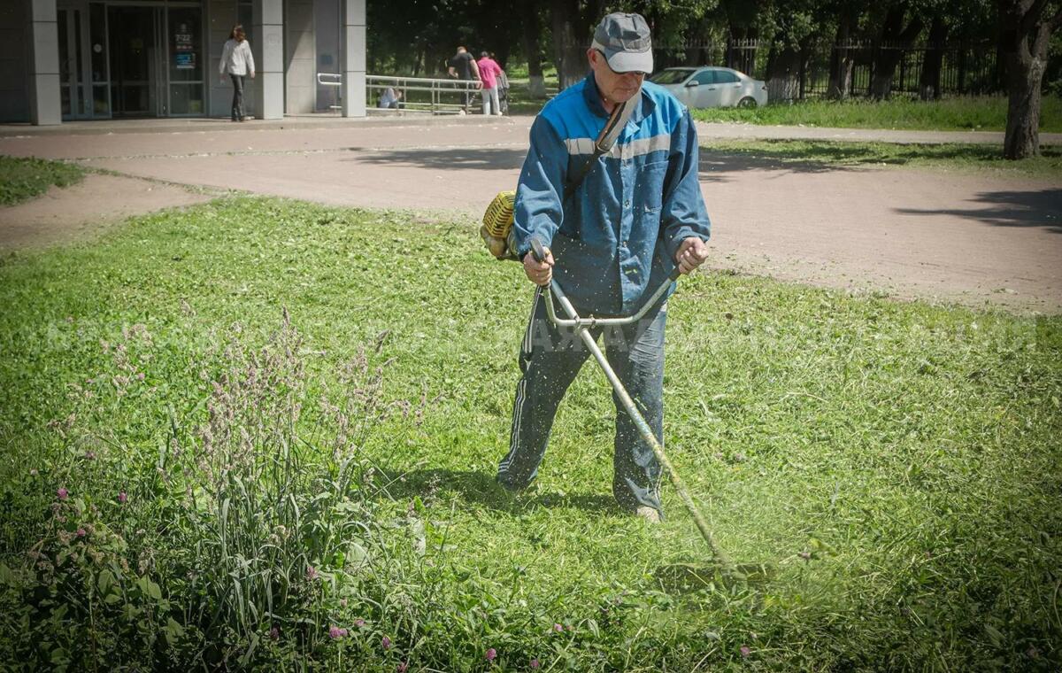 Брянские дорожники продолжают ежедневный покос травы на улицах и в скверах