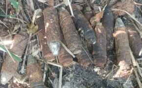 Брянские спасатели в Жуковском районе обезвредили 12 артиллерийских снарядов времен войны