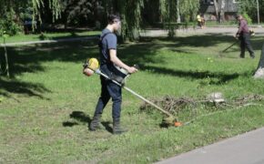 Свыше 127 тысяч кубометров травы скосили в Брянске за выходные
