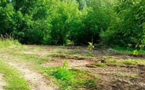 В Погарском районе убрали свалку у кладбища после вмешательства прокуратуры