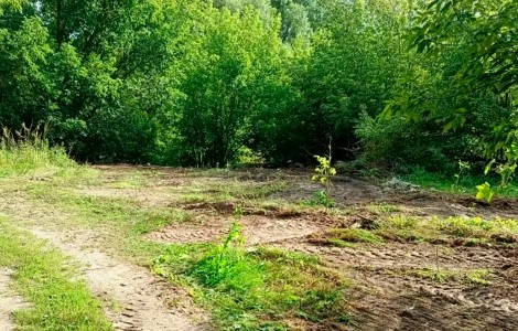 В Погарском районе убрали свалку у кладбища после вмешательства прокуратуры