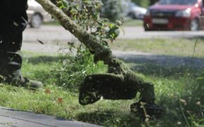 На восьми улицах Брянска дорожники покосили траву накануне