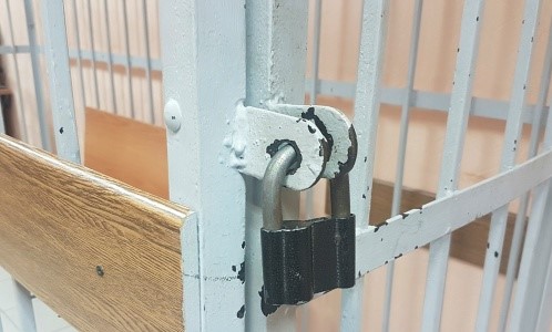 Жительницу Брянска суд отправил в колонию за нападение с ножом на соседа