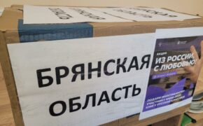 51 книгу из Брянской области передадут иностранным участникам молодёжного фестиваля