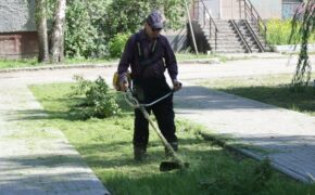 Дорожники выкосили траву в четырёх скверах Брянска накануне