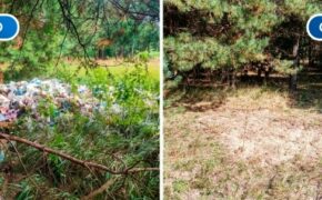 Свалки около леса в Карачевском районе убрали после жалобы в прокуратуру