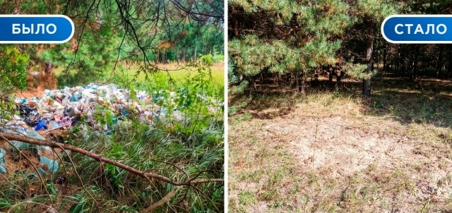 Свалки около леса в Карачевском районе убрали после жалобы в прокуратуру