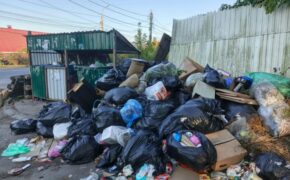 На уборку контейнерных площадок в Брянске выделили почти три миллиона рублей