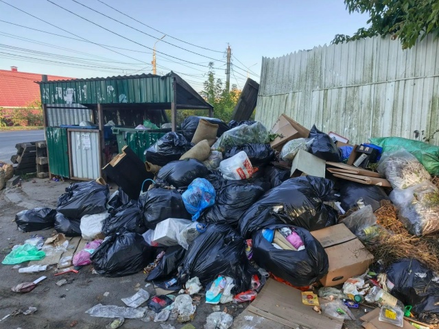 На уборку контейнерных площадок в Брянске выделили почти три миллиона рублей