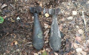 Две минометные мины обезвредили спасатели в Дятьковском районе