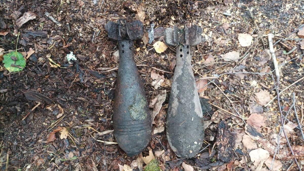 Две минометные мины обезвредили спасатели в Дятьковском районе