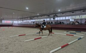 Брянский спортсмен стал призёром всероссийского турнира по конному спорту
