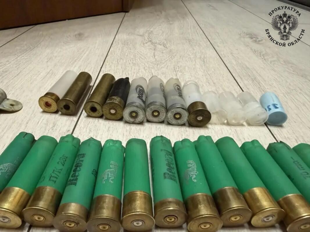 Брянец получил условный срок за изготовление патронов и хранение пороха