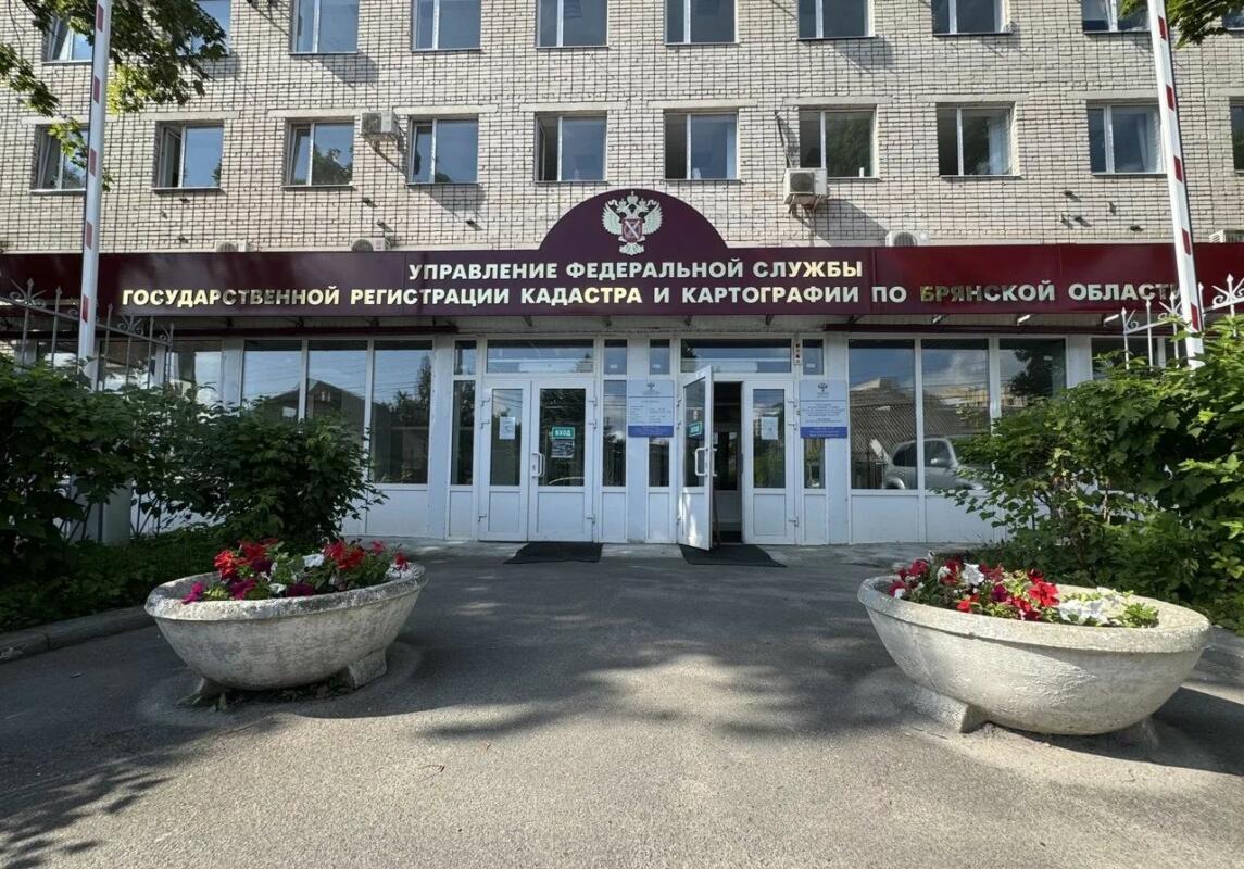 Оформление общего имущества в СНТ станет проще и быстрее: новый законопроект на подходе