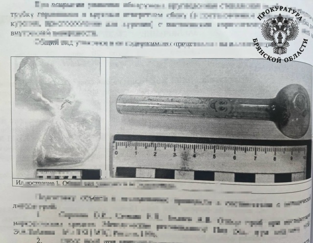 Брянца ждёт суд за организацию наркопритона в своей квартире