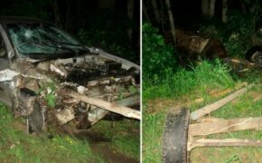 Дело о гибели двух человек в ДТП с гужевой повозкой рассмотрит суд