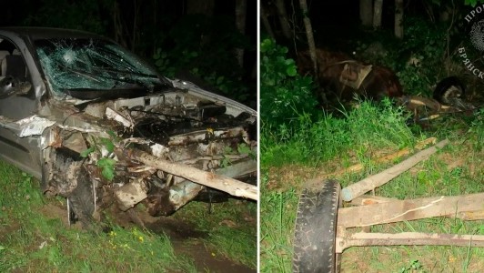 Дело о гибели двух человек в ДТП с гужевой повозкой рассмотрит суд
