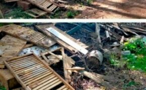 Свалку в Клинцовском районе убрали после вмешательства прокуратуры