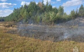 Спасатели потушили пожар в лесу в Клетнянском районе