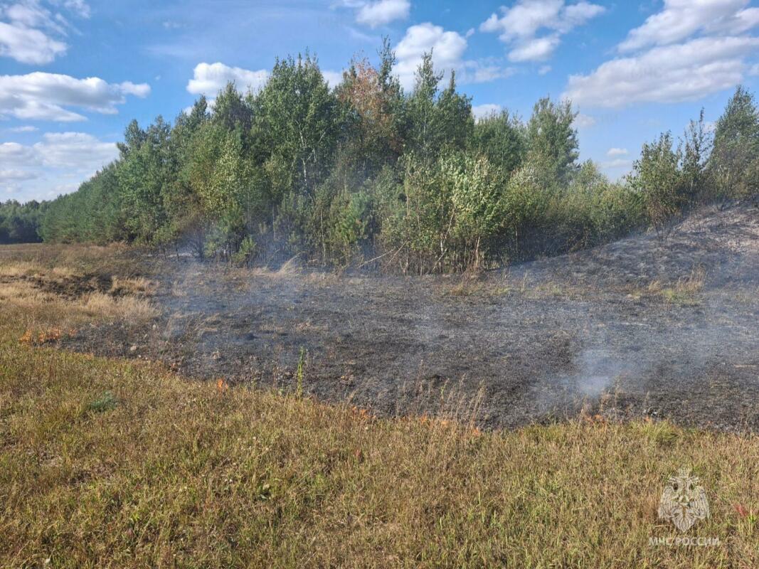 Спасатели потушили пожар в лесу в Клетнянском районе