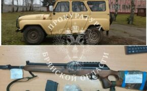Уголовное дело о незаконной добыче лося рассмотрит брянский суд