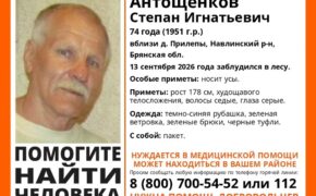 Добровольцы ищут заблудившегося в лесу 74-летнего жителя Брянщины