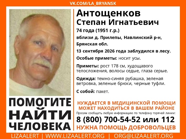 Добровольцы ищут заблудившегося в лесу 74-летнего жителя Брянщины
